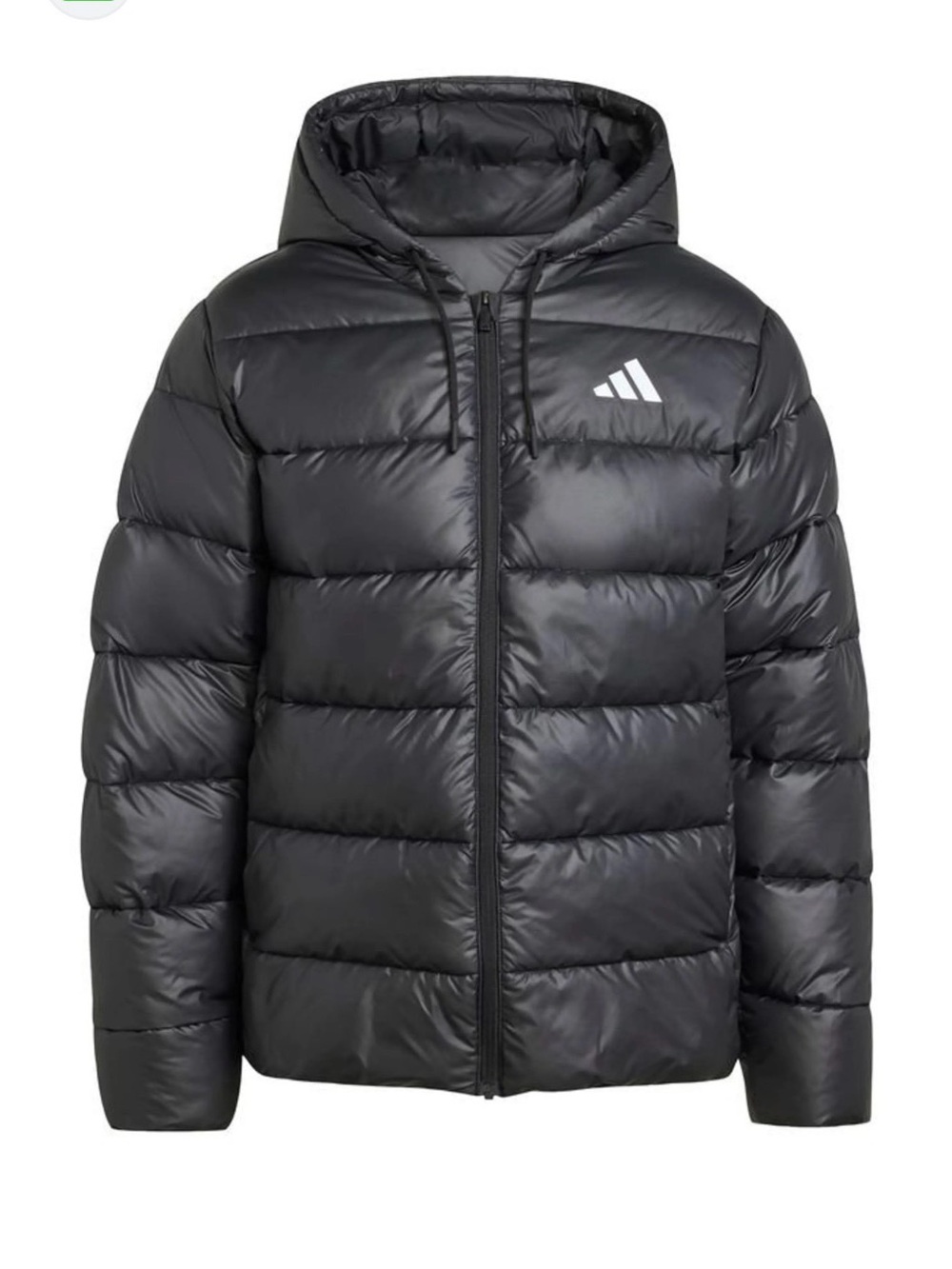 adidas men Black Puffer Jacket with Hood